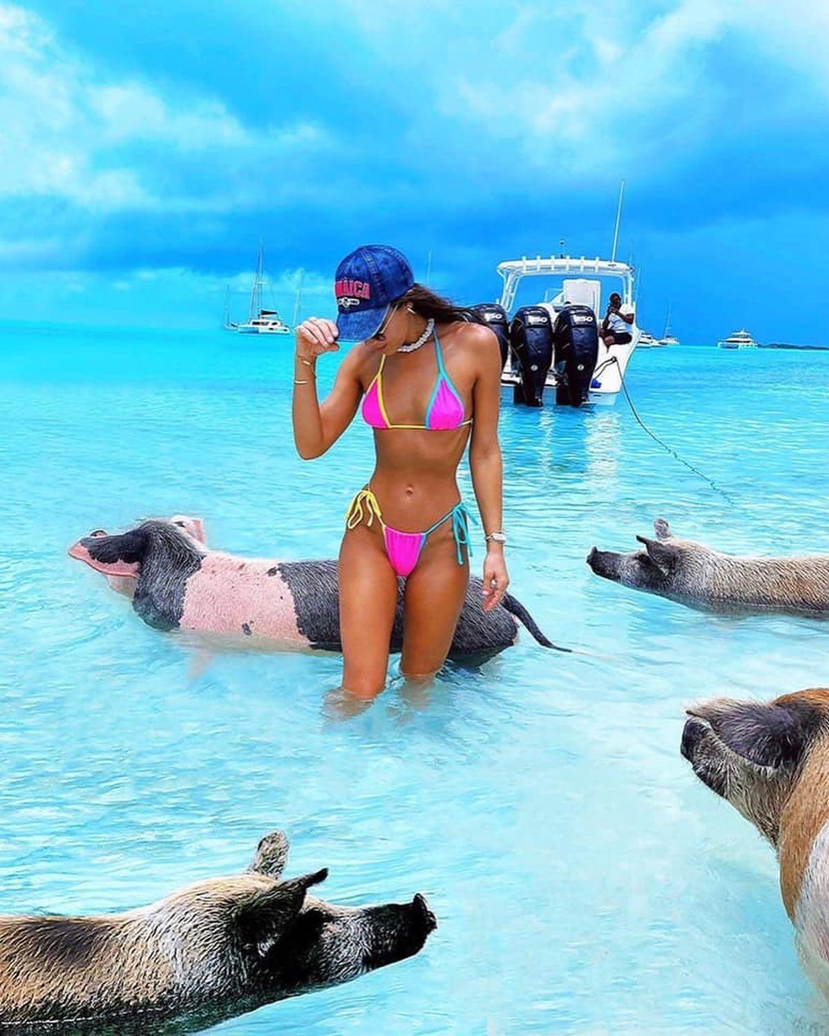 바하마 돼지섬🐷 신기해💙 이미지3