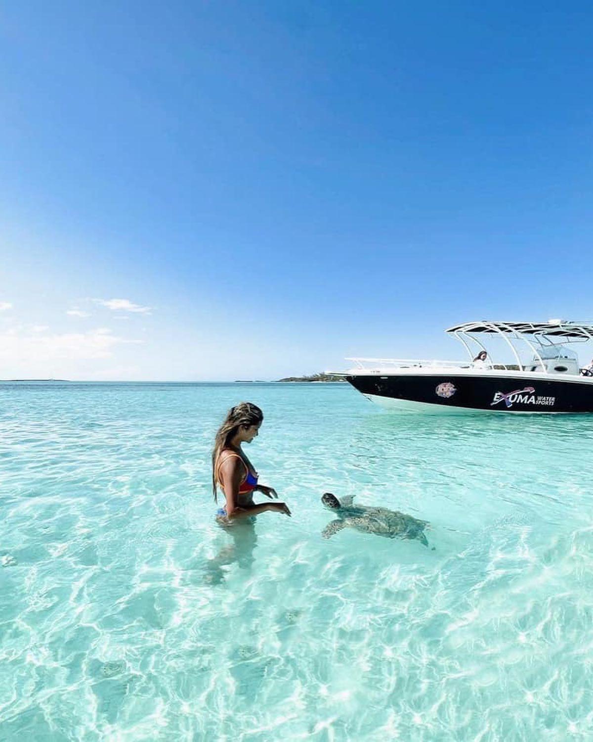 바하마 돼지섬🐷 신기해💙 이미지5