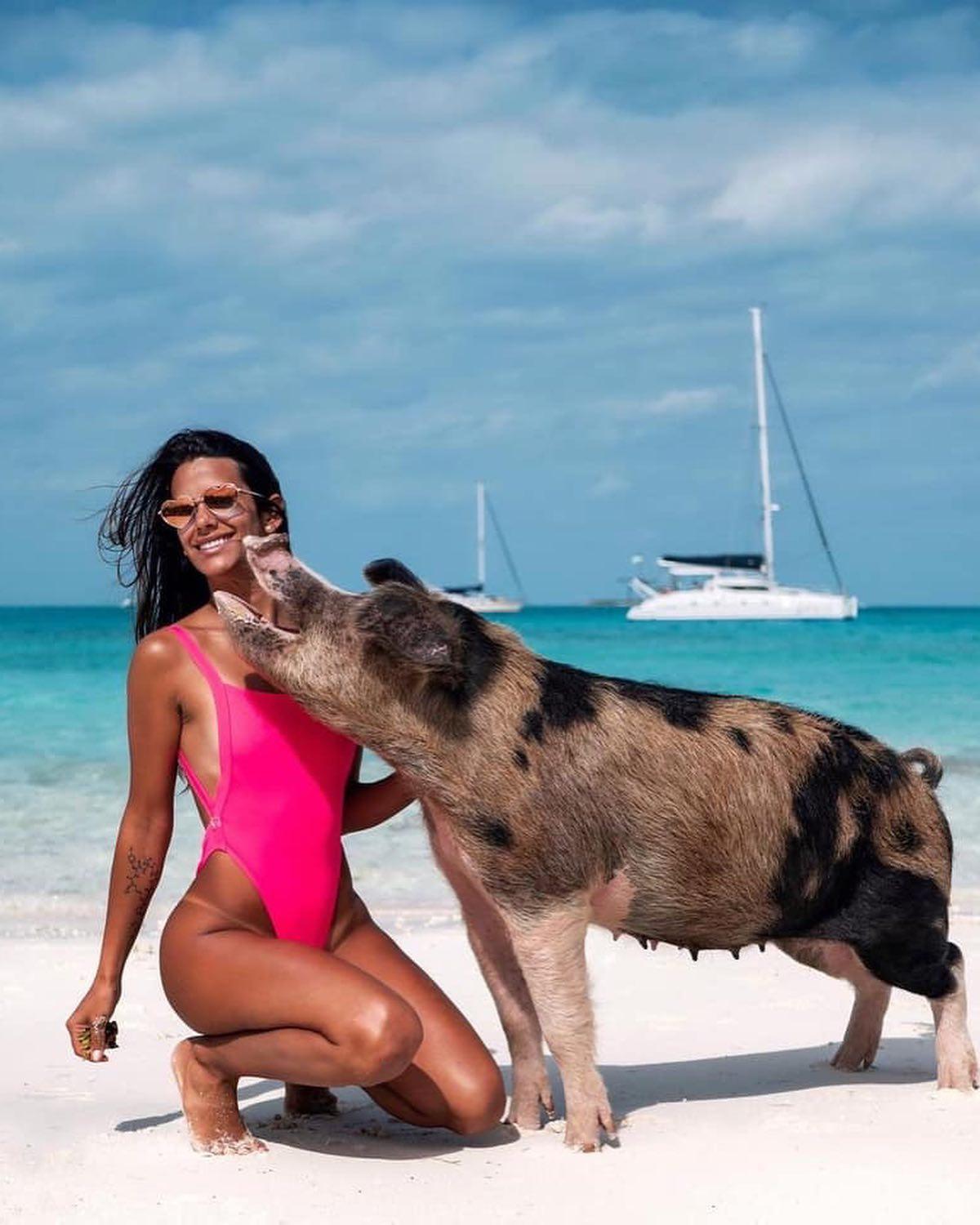 바하마 돼지섬🐷 신기해💙 이미지6