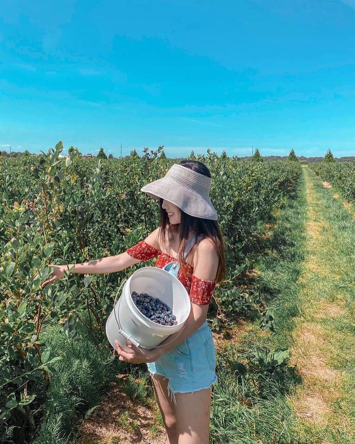 요즘 핫하다는 농장체험🎵👩🏻‍🌾 이미지2