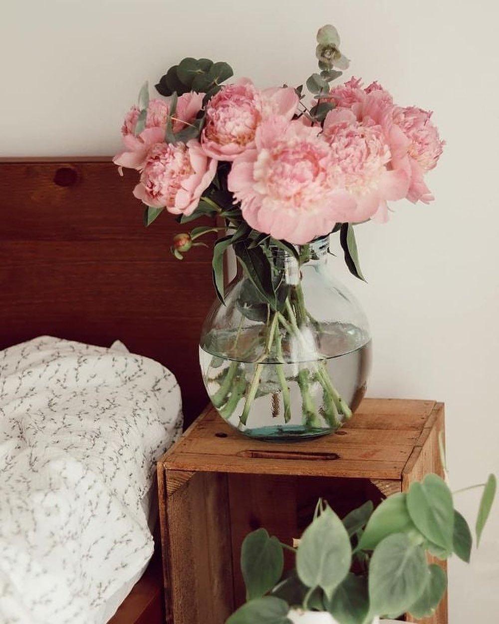 요즘 너무 예쁜꽃! 작약😍🌸 이미지4