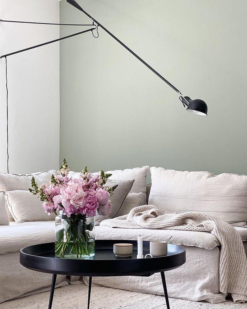 요즘 너무 예쁜꽃! 작약😍🌸 이미지5