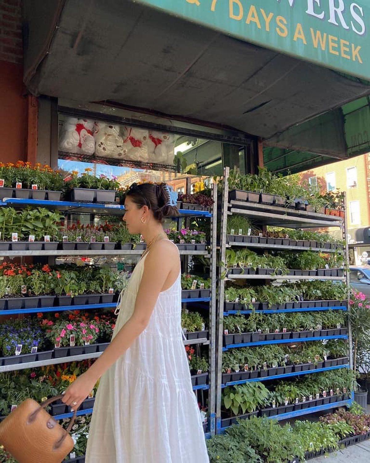 나만의 식물 키우기🌱🌳 이미지1