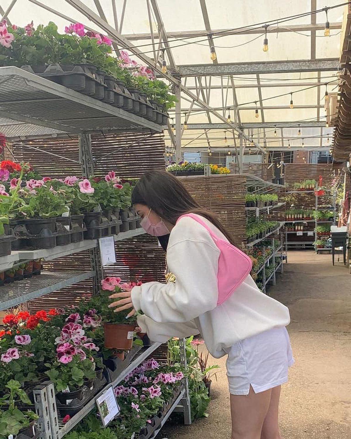 나만의 식물 키우기🌱🌳 이미지2