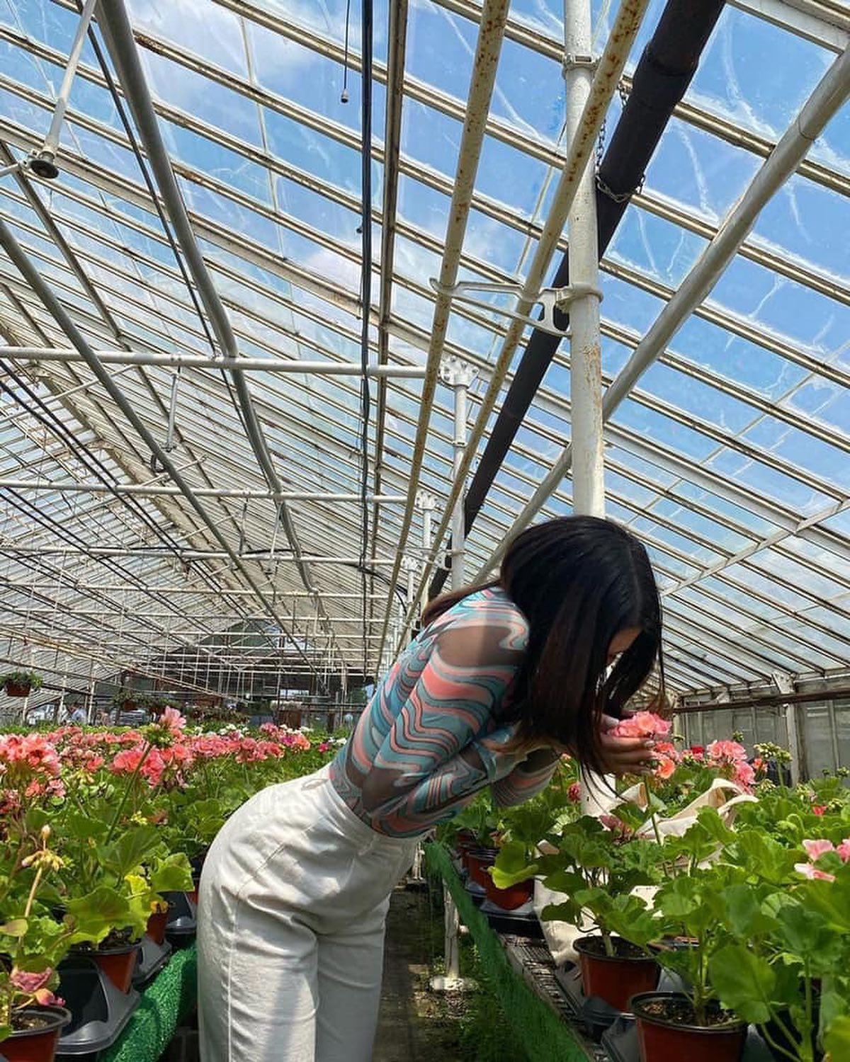 나만의 식물 키우기🌱🌳 이미지5