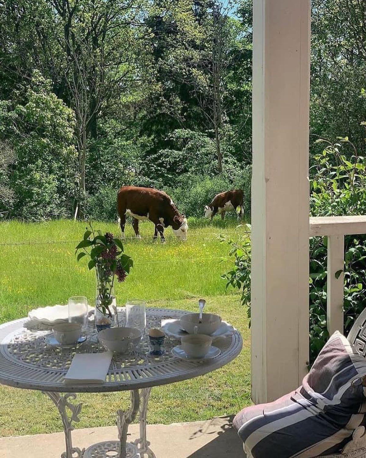 오션뷰 말고 마운틴뷰🌲💚 이미지5