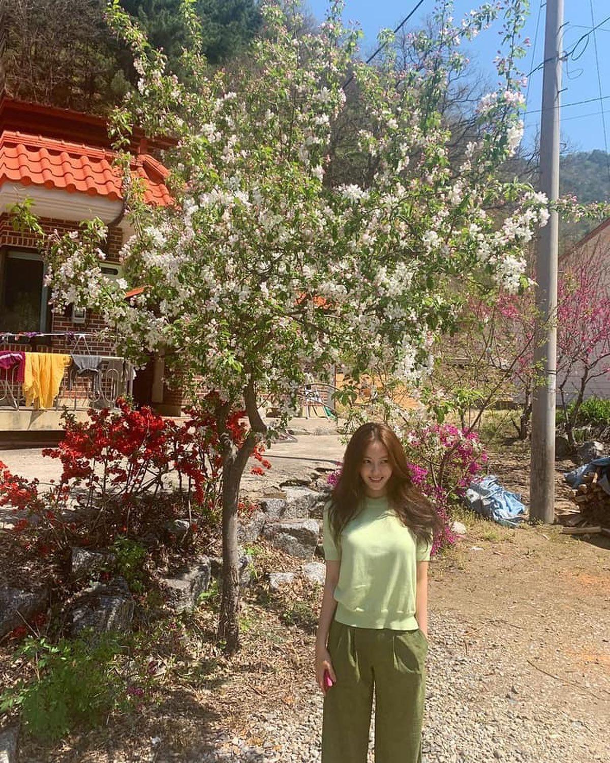 반팔 니트 @얼른 꺼내자🧶💙 이미지3