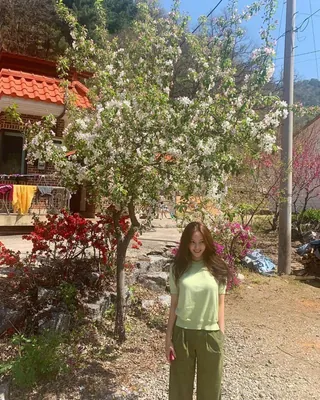 반팔 니트 @얼른 꺼내자🧶💙 이미지