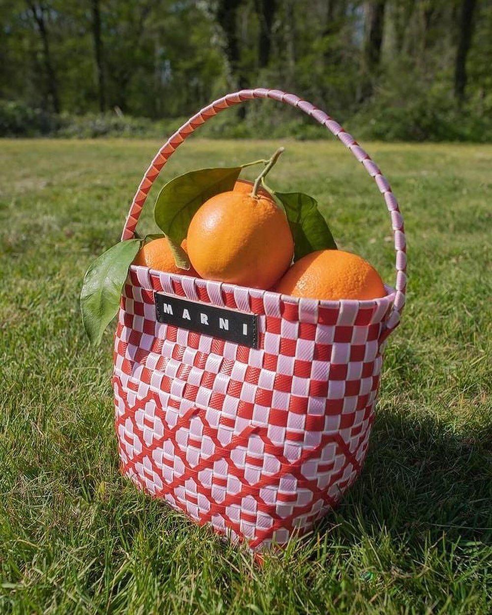 여름용 마르니 바스켓백🧺🍊 이미지6