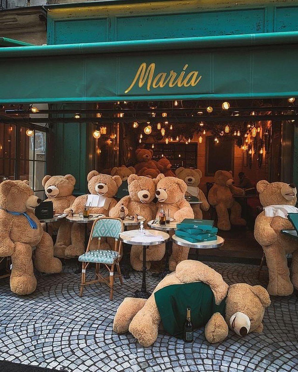 앞에 뻗은 곰도리 너인줄..🐻 이미지