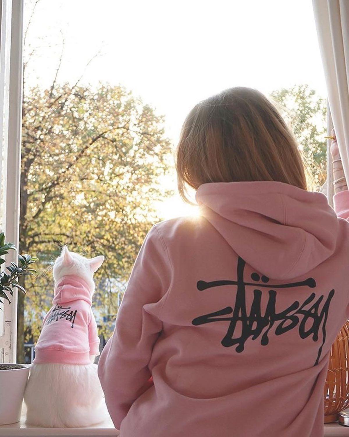 집사스타그램🐈🐾🙇🏻‍♀️ 이미지