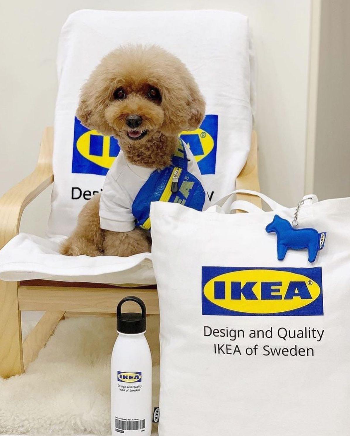 국내도입 시급한 이케아 옷🇸🇪 이미지2