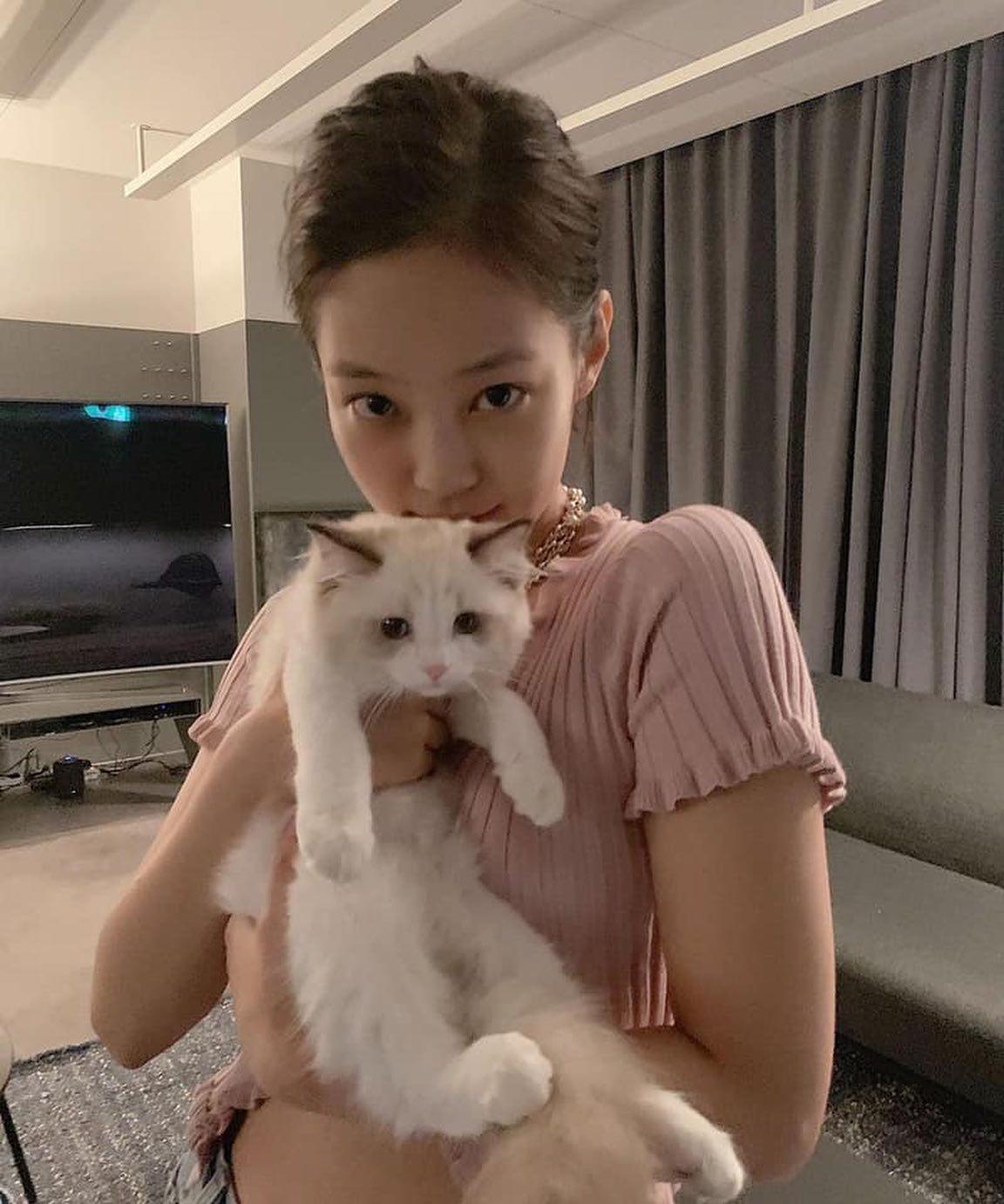 사랑둥이와 함께 집콕🐶❤️ 이미지