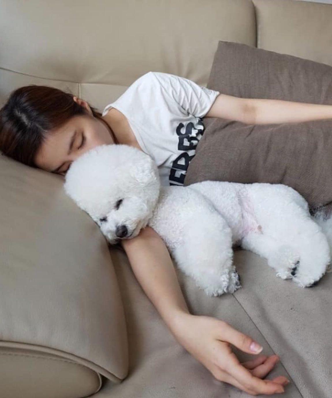사랑둥이와 함께 집콕🐶❤️ 이미지