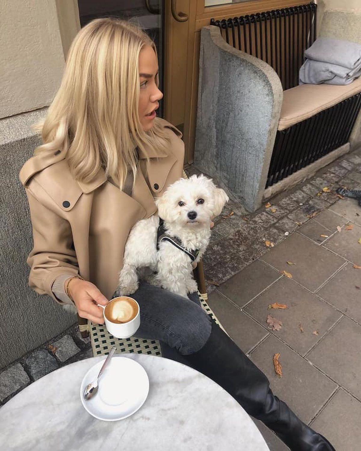 주말엔 강쥐랑 한 컷🐶💛 이미지