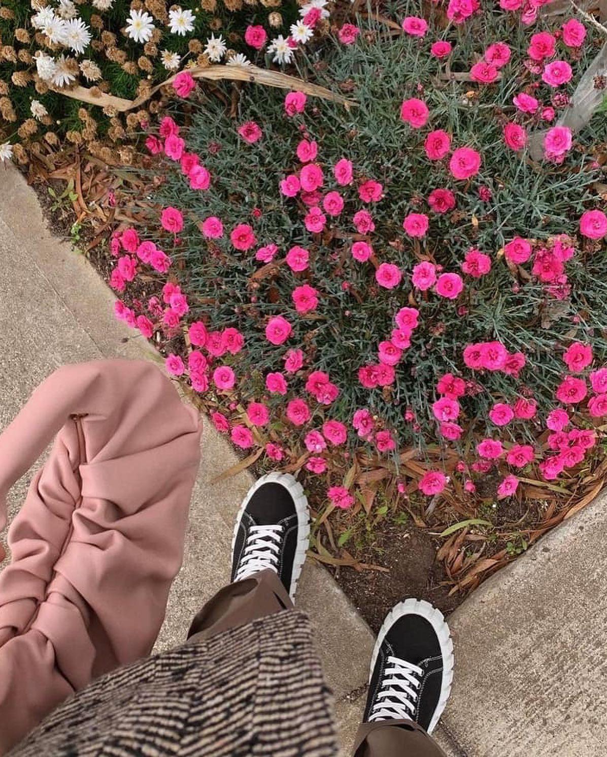 핑크백으로 러블리하게👛 이미지