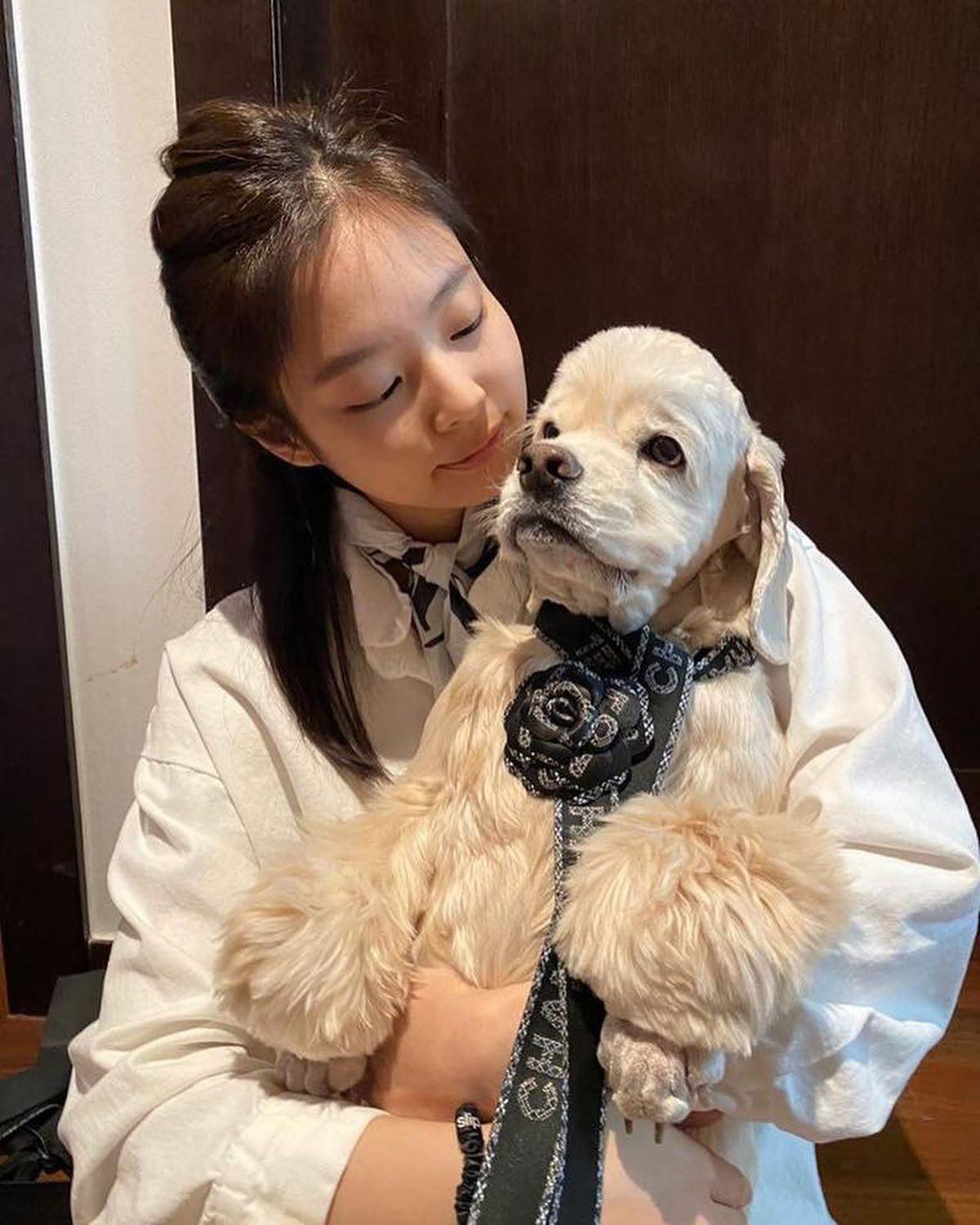 주인 닮아 멋진 댕댕이들🐶🖤 이미지