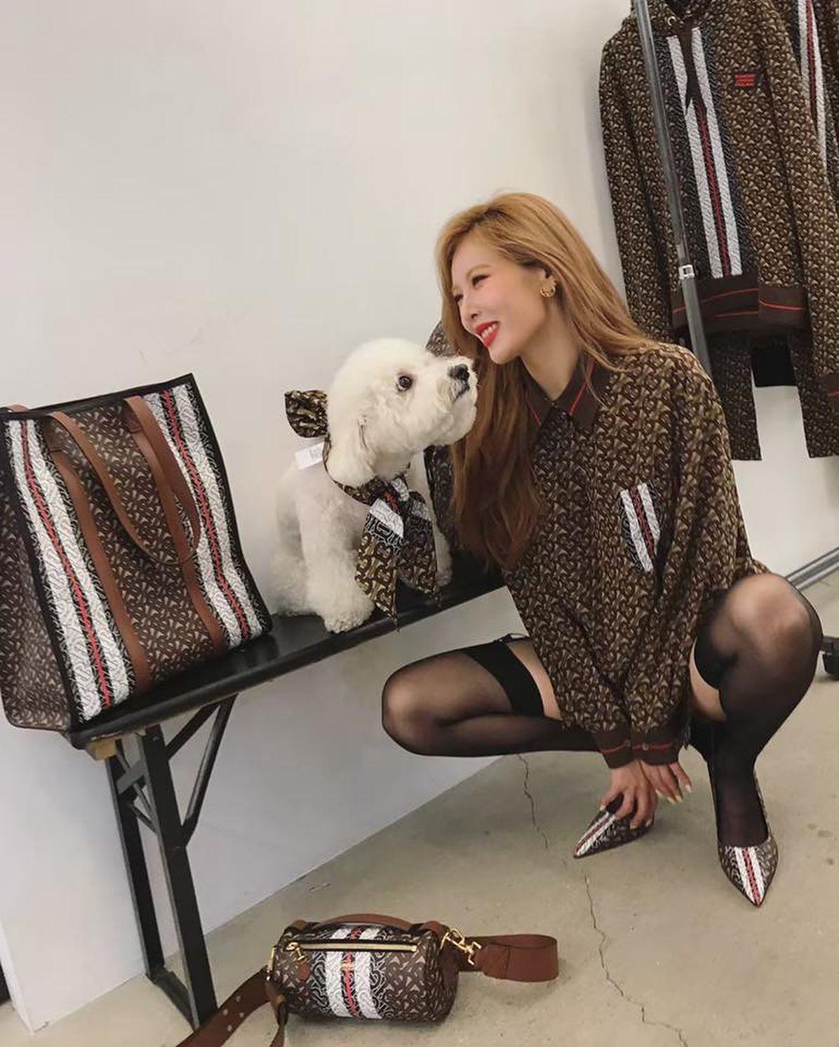 현아 이미지