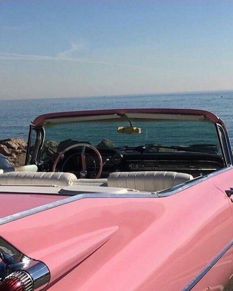 핑크로 chilling💗 이미지