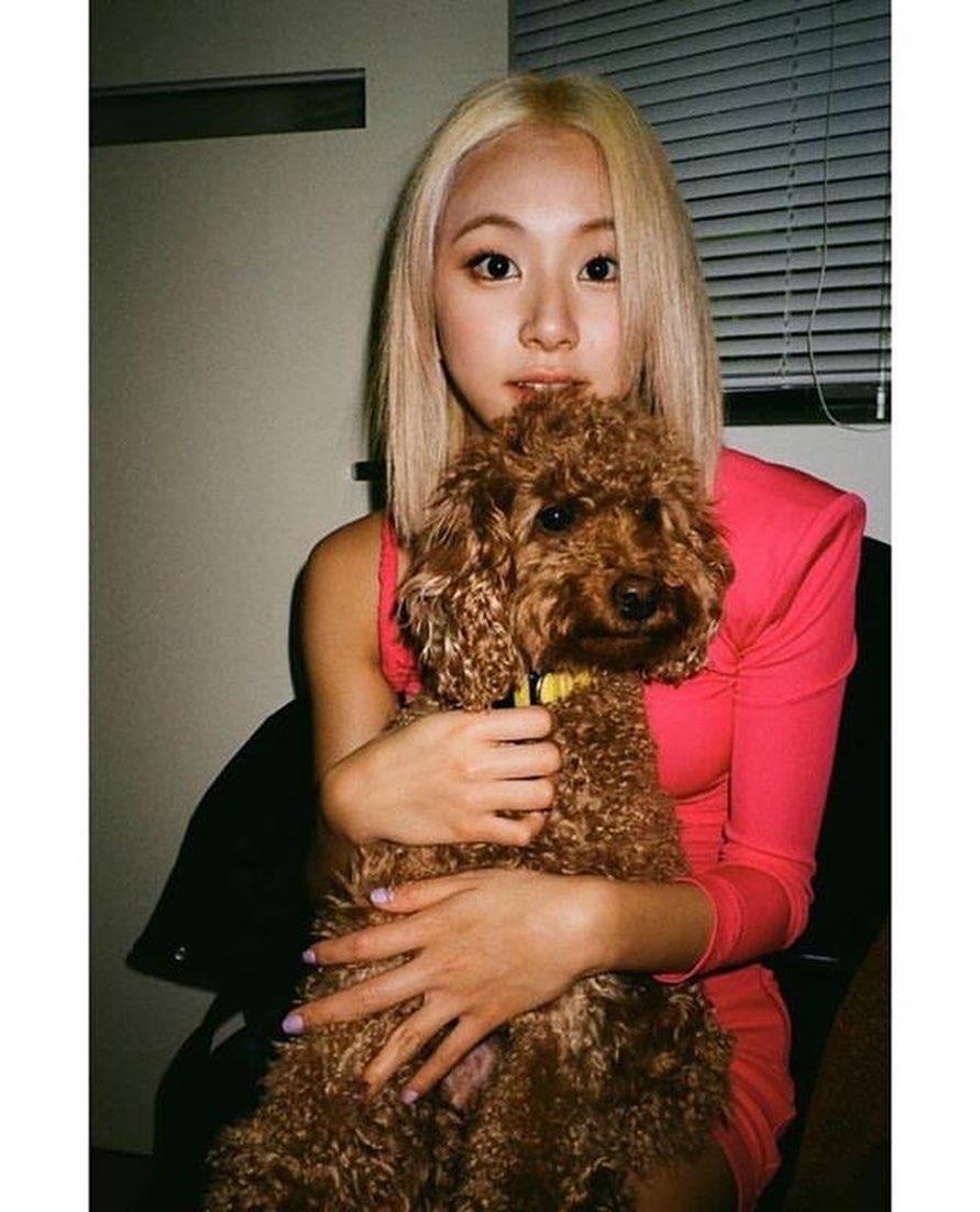 뿌리 흑발로 자라기 금지❌💛 이미지8