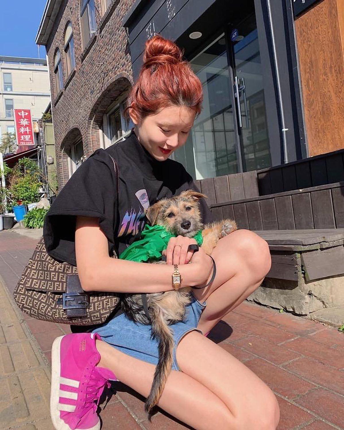 더운 날 시원하게 똥머리🌬💩 이미지4