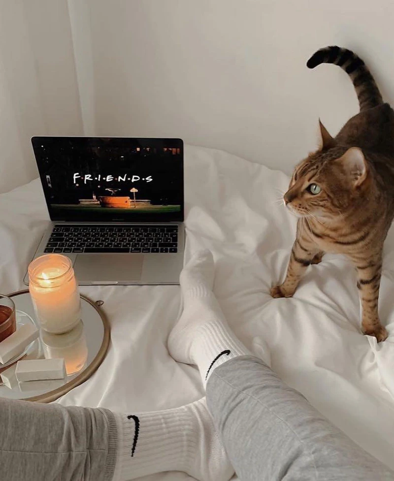 주말엔 넷플릭스 앤 칠🥰👩💻 이미지2