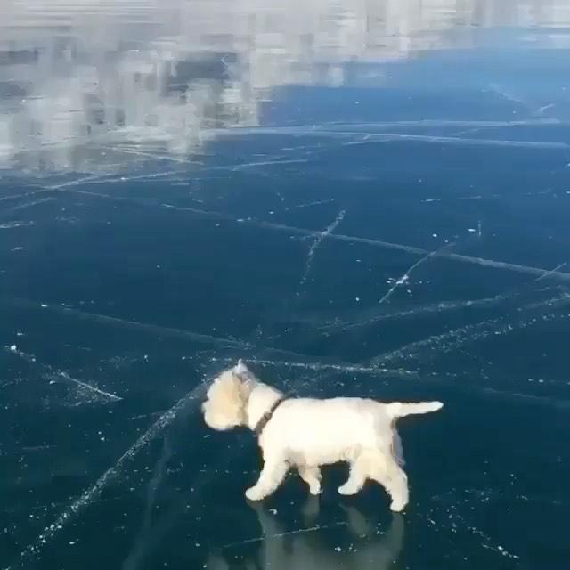 오늘 넘 추워 🥶❄️ 총총총 이미지