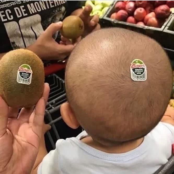 키위! 🥝 이미지