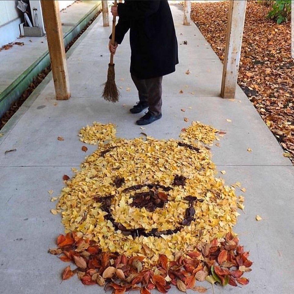 지금만 찍는 낙엽사진들🍁 이미지