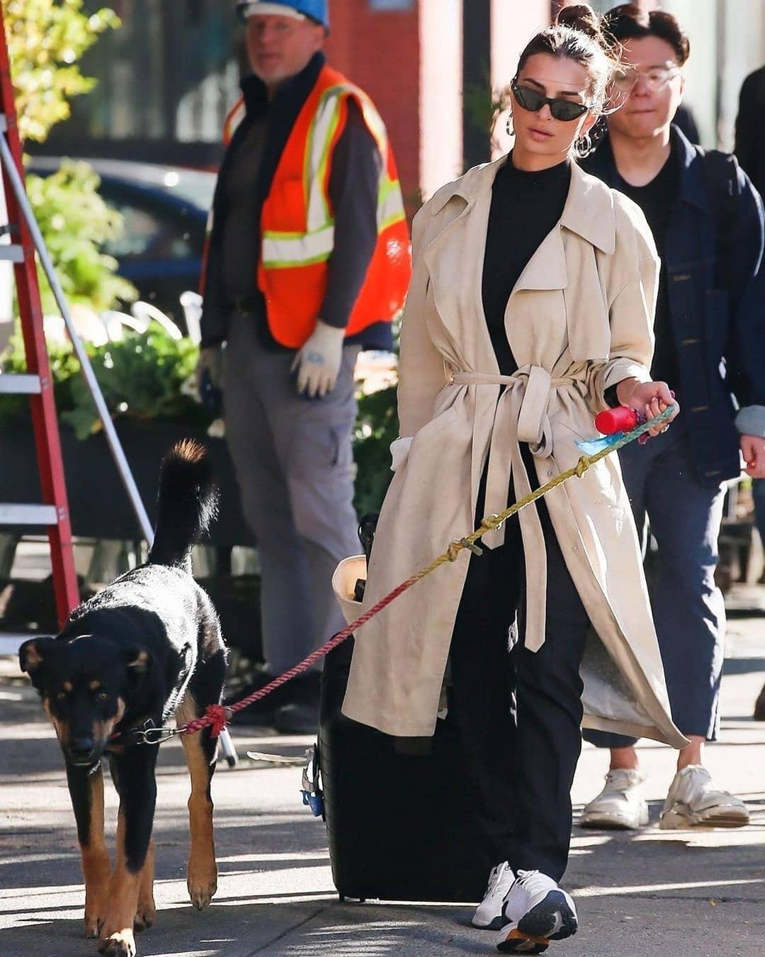 가을 참고룩 🍁 이미지