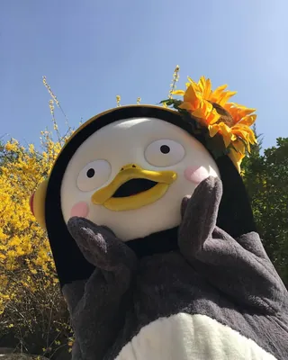 어른들 뽀로로! EBS신인 펭수🐧 이미지