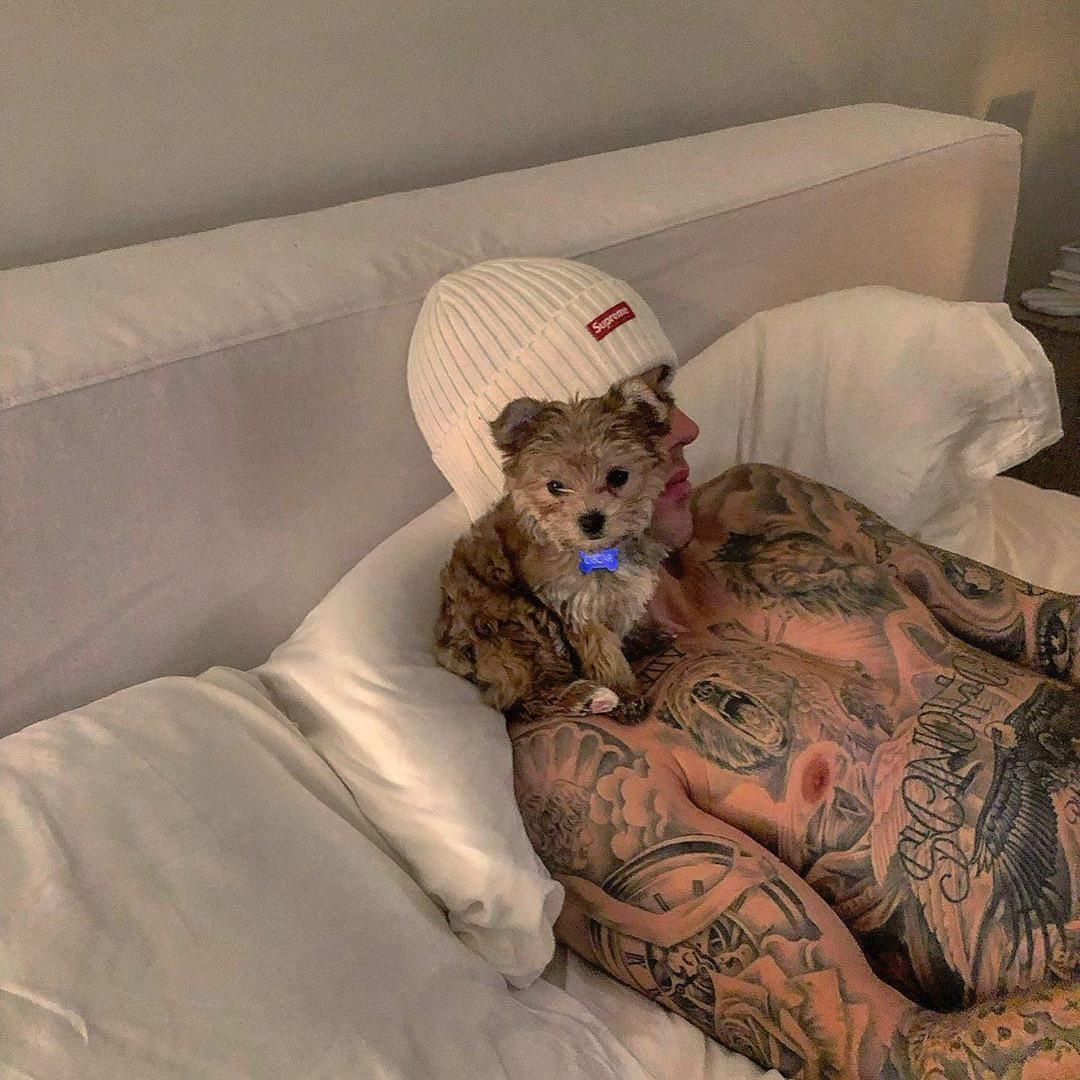 비버 부부의 집사 생활🐕🐈 이미지