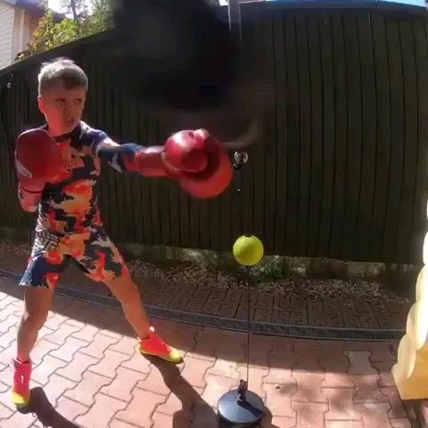 살벌한 복싱 키즈 🥊🥊 이미지