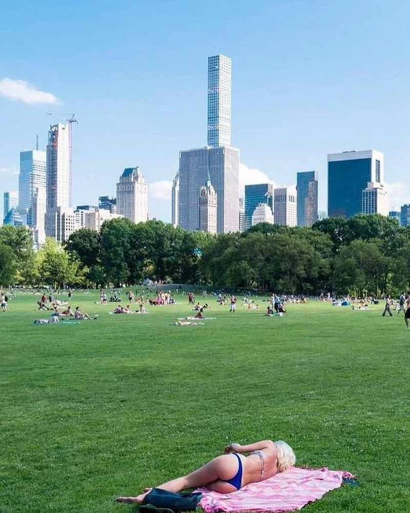 여름의 센트럴파크🌳 이미지2