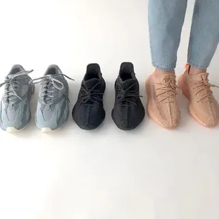 이지 콜렉터 🌈 이미지
