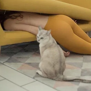 도저히 못일어나겠어요😂 이미지