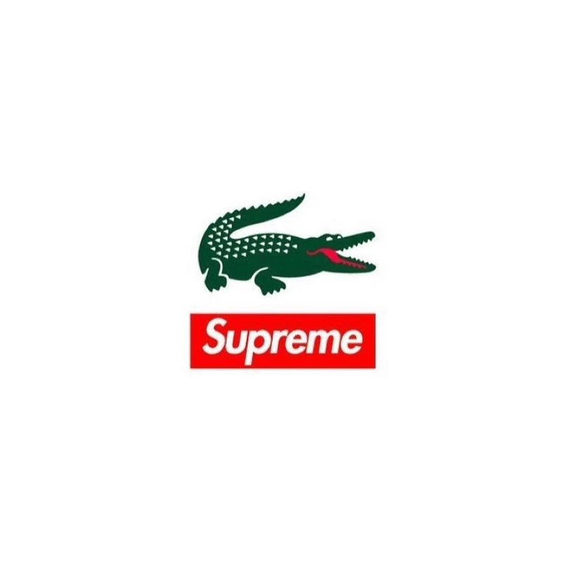 출시 예정🐊슈프림 × 라코스테 이미지2