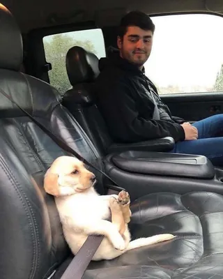 출근 개시로🐶멍! 이미지
