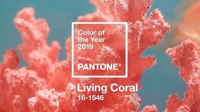 19년 팬톤컬러, Living Coral💖 이미지1