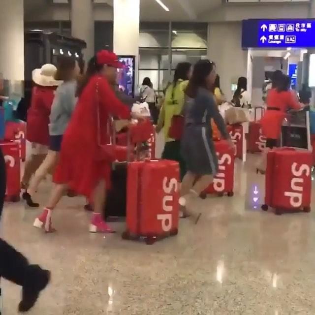 너무하네.. 슈프림 🤢 이미지