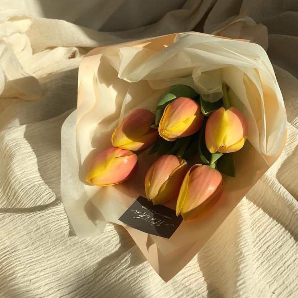 꽃 선물 받고 @싶어 💐🌷 이미지