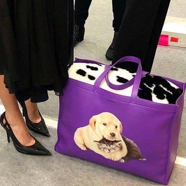 댕댕이 x 발렌시아가 🐶 갈까?! 이미지