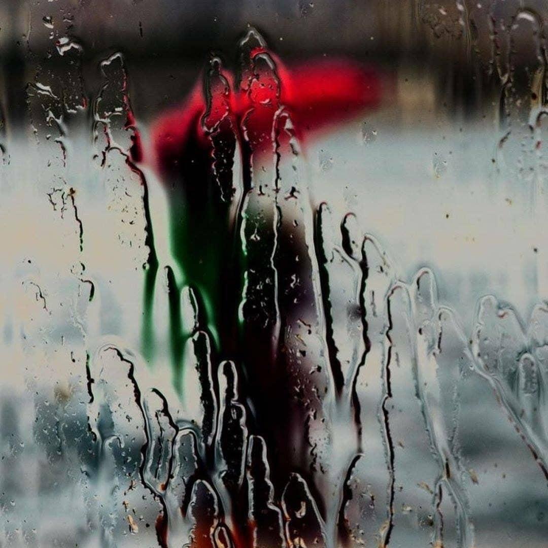 비 오는 저녁 밤.. ☔ 이미지