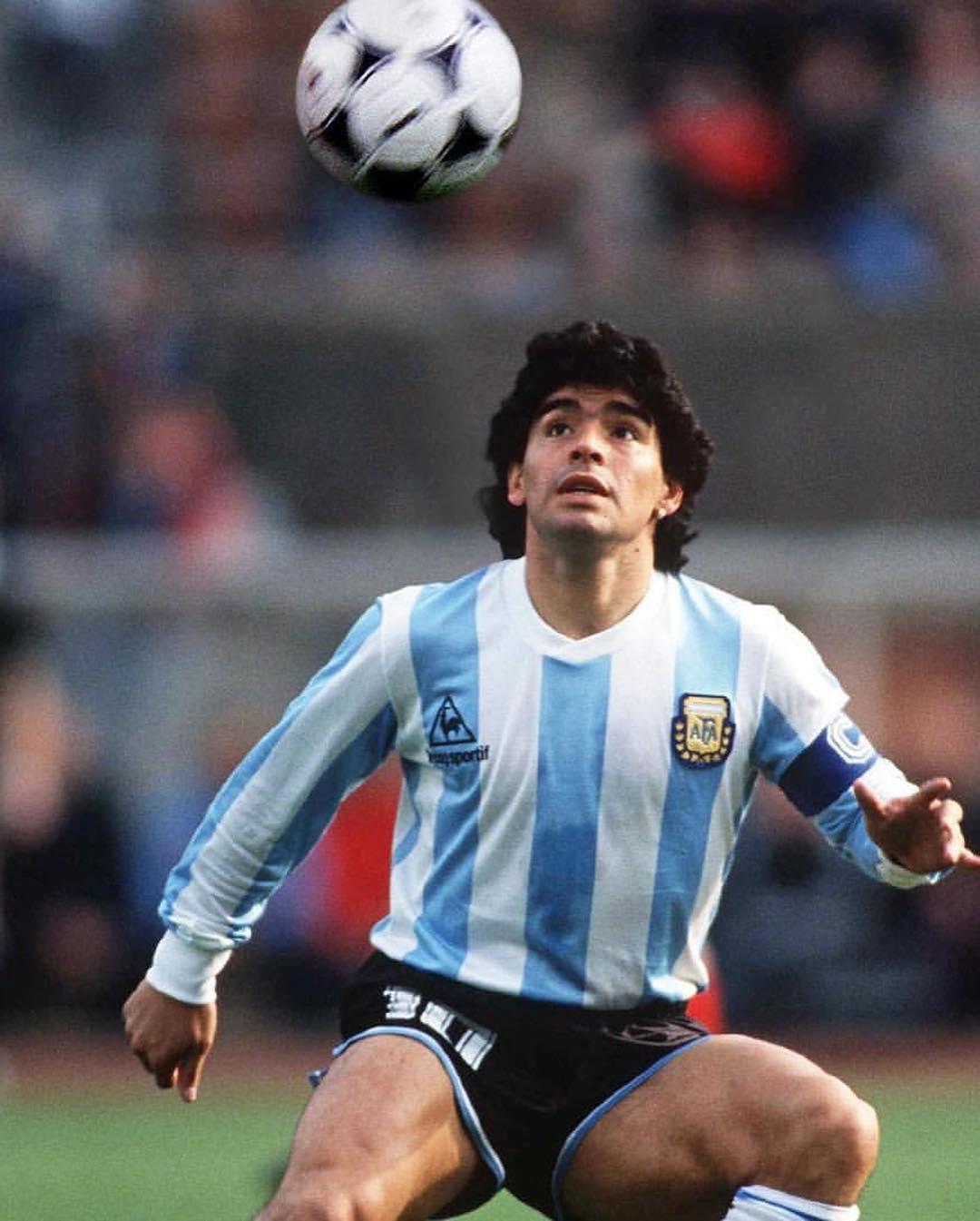 닭벼슬 헤리티지🐓🇫🇷 르꼬끄 이미지