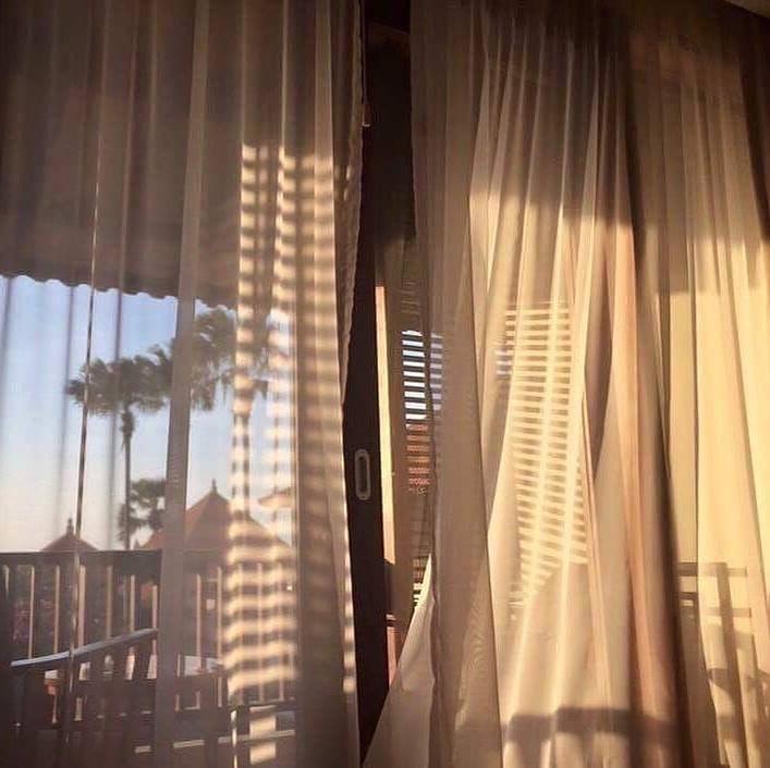 기분 좋은 햇살☀️ 이미지