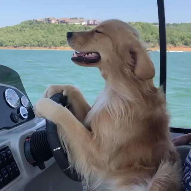 날씨 개시원타 🐶 캬~~ 이미지