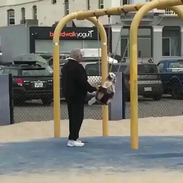 개 편해라~🐶🐶🐶 이미지