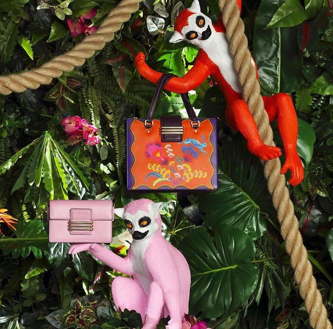 긴자 Etro 디스플레이 class🌈
에트로 레인보우컬러백, 정글 스타일 🌿💐 이미지