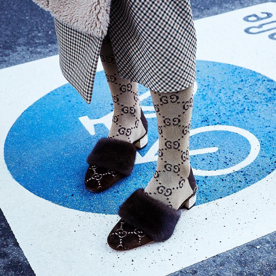 이런 양말 🧦 gucci 이미지