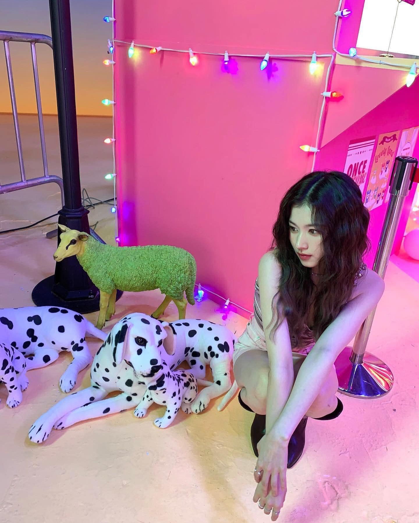 사나 이미지